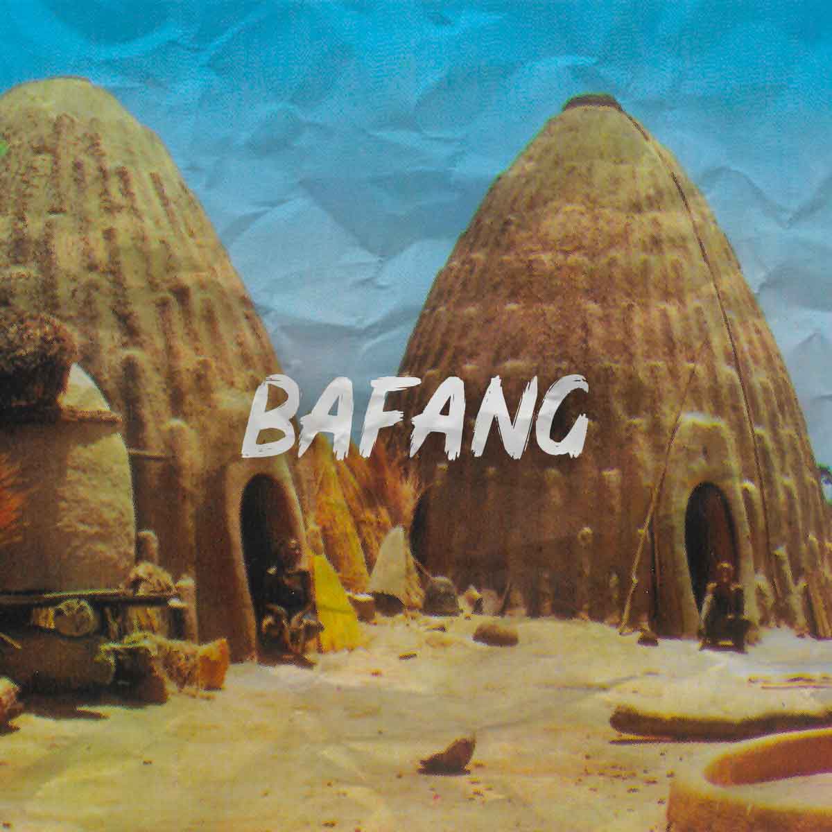 Mounaye-cases-bafang