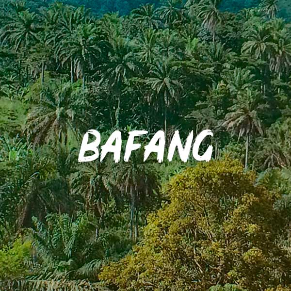 mounaye-jungle-bafang